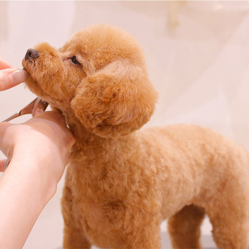 トリミングh-pure